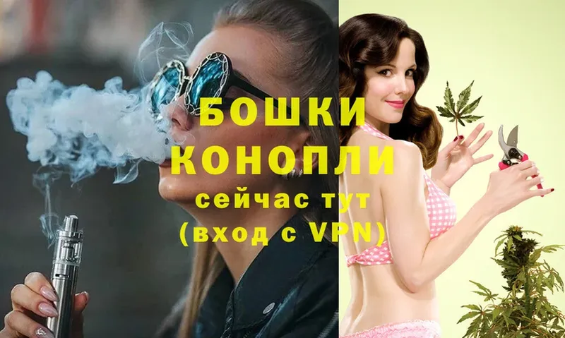 Шишки марихуана SATIVA & INDICA  Алексин 